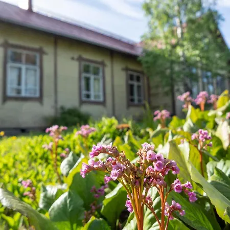 Ferienhaus Koskivaara - Vanha Koulu - Old School